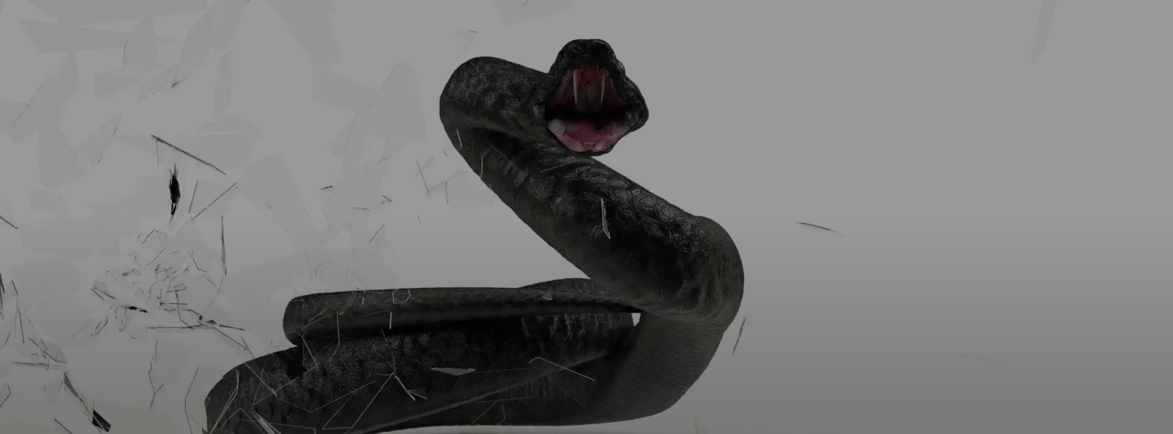 Snake Animation