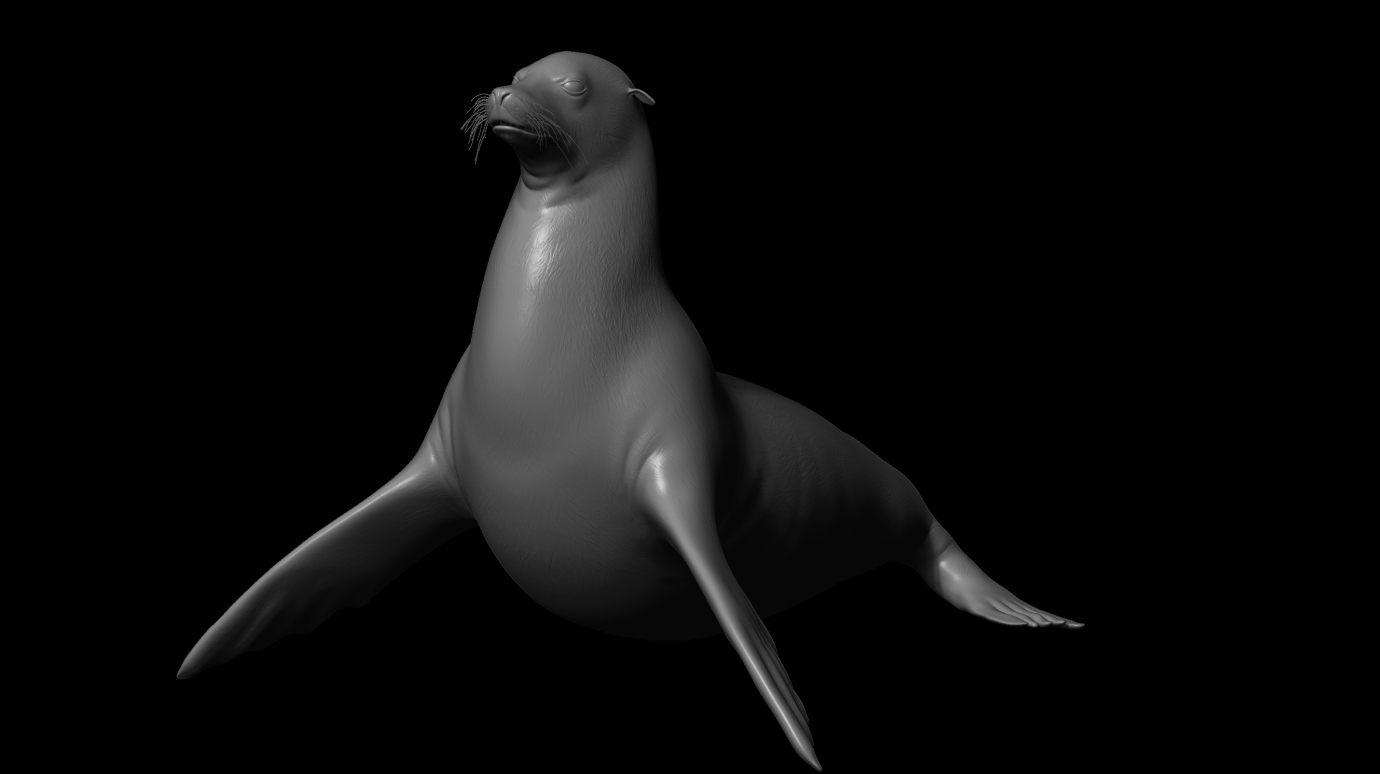 CGI Sea Lion - 5