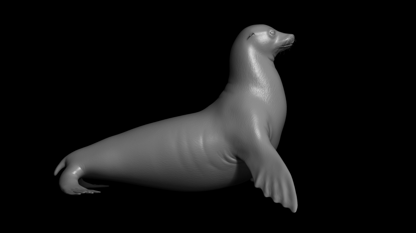 CGI Sea Lion - 6