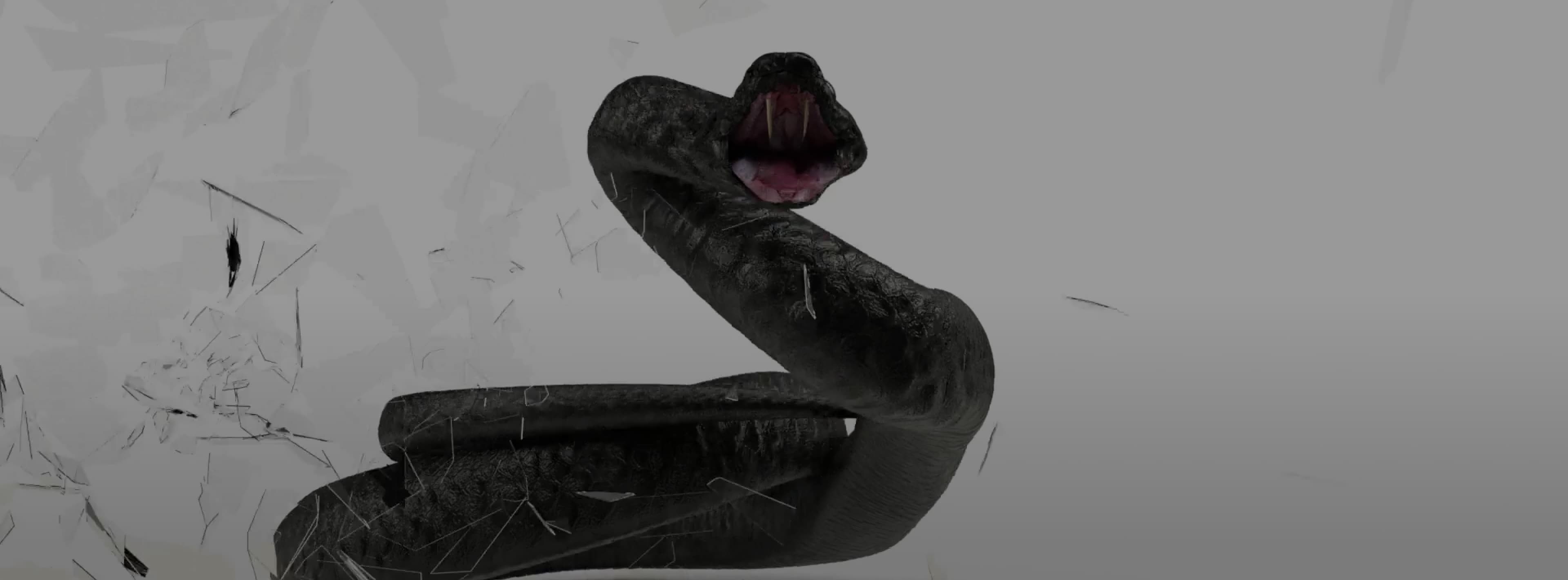 Snake Animation